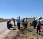Под Астраханью столкнулись две иномарки, есть погибшие