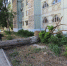 photo_2025-05-28_15-20-25 - Сетевое издание Арбуз