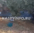 КаспийИнфо. Новости Астрахани и региона - KaspyInfo.Ru