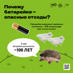 Давайте научимся беречь нашу планету вместе!!!