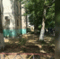 В Астрахани маленькая девочка выпала из окна вместе с москитной сеткой - Bloknot-Astrakhan.Ru