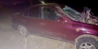 В Астрахани после столкновения с автомобилем погибли двое велосипедистов - Астраханский листок