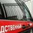Следком расследует нападение бродячих собак на ребёнка в Астраханской области - Астрахань 24