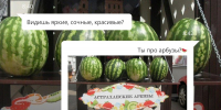 Астраханцы могут проголосовать за благоустройство региона - Астрахань 24