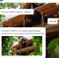 КаспийИнфо. Новости Астрахани и региона - KaspyInfo.Ru