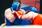 Астраханцы стали лидерами чемпионата ЮФО по боксу
