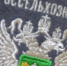 В Астраханскую область не пропустили 110 тонн абрикосов из Узбекистана - ГТРК Лотос