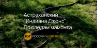 Астраханский фотограф «выловил» из реки бивни мамонта Ледникового периода - Юг России