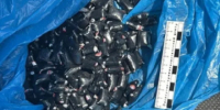 Под Астраханью задержали иностранца с крупной партией мефедрона - ГТРК Лотос