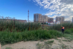 В июне от камыша и сорной растительности прокосили 54 га