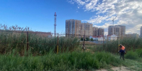 Улицы Астрахани зачищают от сорняка и камыша - Газета Волга