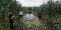 В Астраханской области служба занятости трудоустроила 700 рыбаков и обработчиков рыбы в первом полугодии 2025 года - Агентство по занятости населения