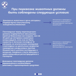 Информация для владельцев, планирующих путешествие с животными по территории Российской Федерации.