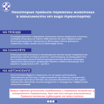 Информация для владельцев, планирующих путешествие с животными по территории Российской Федерации.