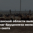 Выявлен новый очаг бруцеллёза мелкого рогатого скота - Служба ветеринарии