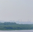 photo_2025-07-23 16.21.41 - Сетевое издание Арбуз
