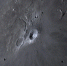 Житель Ахтубинска обнаружил «лунную кобру» - Комсомольская Правда