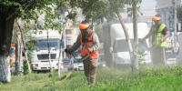 В Астрахани усилили борьбу с вредной растительностью - Астрахань 24