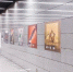 Астраханская область представлена на фотовыставке в московском метро - Ast-News.Ru