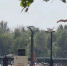 IMG_20250819_164548_487 - Сетевое издание Арбуз
