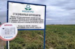 Под Астраханью прошел региональный День поля
