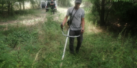 борьба с растениями.png - Южная Волна