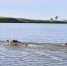 vlcsnap-2025-08-20-13h52m12s987 - Сетевое издание Арбуз