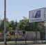 выборы в городскую думу - Сетевое издание Арбуз