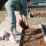КаспийИнфо. Новости Астрахани и региона - KaspyInfo.Ru