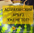 Гуру бахчевых дел Артем Соколов из Астрахани дал советы по выбору идеального арбуза - Юг России