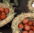 Объём производства астраханской сельхозпродукции вырос - Ast-News.Ru