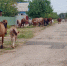 IMG-20250903-WA0042 - Сетевое издание Арбуз