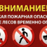 В Астраханской области запрет посещать леса продлили до начала октября - Punkt-a.info