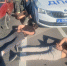 В Астрахани водитель и его пассажиры оказали сопротивление полиции - Астрахань 24