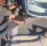 В Астрахани полицейские задержали дорожных хулиганов - ГТРК Лотос
