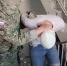 657567567 - Сетевое издание Арбуз