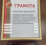 Рифат Сабитов награждён медалью ОНФ «Народный фронт. Все для Победы» - ГТРК Лотос
