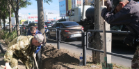 В Астрахани высадят пять тысяч кустарников и две тысячи деревьев - Газета Волга