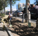 бирючина.jpg