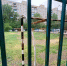 При содействии ЛДПР на стадионе на Десятке скосят траву - ЛДПР