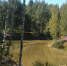 Скоро астраханцам позволят отстреливать болотно-луговую дичь - Bloknot-Astrakhan.Ru
