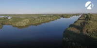 Запрет на посещение лесов в Астраханской области продлили до 23 октября - Астрахань 24
