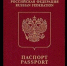 С 20 января российским детям понадобится загранпаспорт для въезда в Белоруссию и Абхазию - Астрахань 24