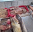 Полиция в Астрахани ищет контрафактную продукцию и контрабанду - Газета Волга