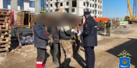 Более 170 иностранцев принудительно покинут Астраханскую область - Астрахань 24