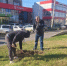 В Астраханских парках в выходные высадили полтысячи деревьев - Астрахань 24