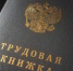 Астраханский суд помог украинке исправить ошибку в трудовой книжке - Bloknot-Astrakhan.Ru