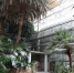 Экс-чиновник из Астрахани получил 4,5 года колонии за взятку при реконструкции кинотеатра «Октябрь» - Газета Волга