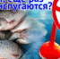 Будет ли еще жестче: приезжающих в Астраханскую область рыболовов пугают новыми ограничениями - Punkt-a.info