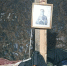 img - ЛДПР